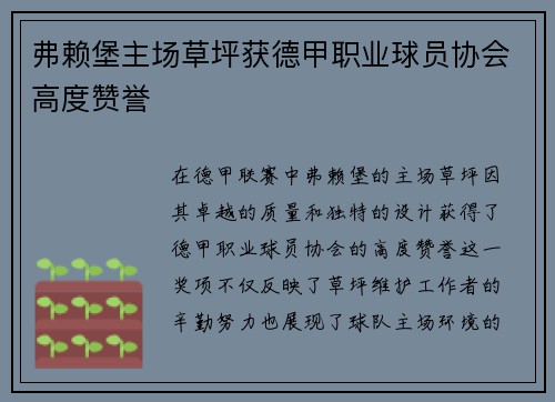 弗赖堡主场草坪获德甲职业球员协会高度赞誉 弗赖堡主场草坪获德甲职业球员协会高度赞誉